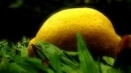 Лимонова лимонада. Как да превърнем недостатъци...